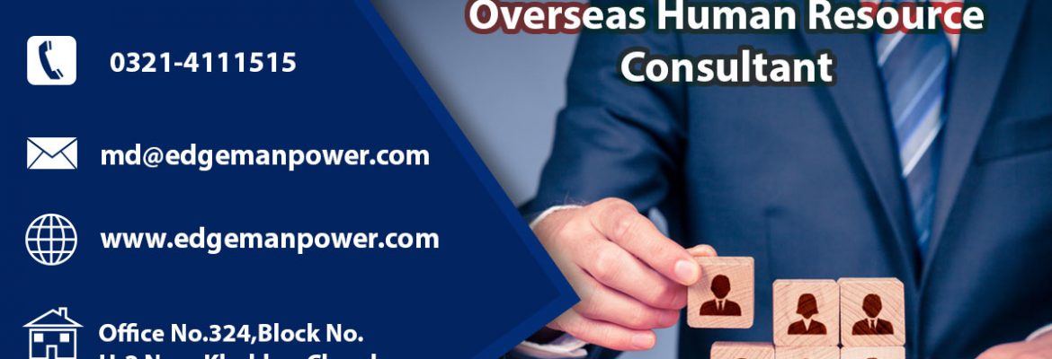 Overseas Human Resource Consultant