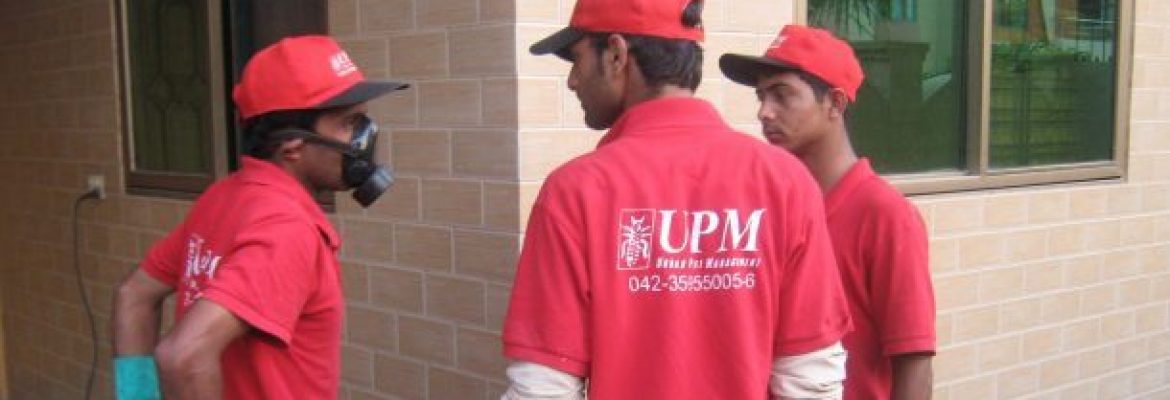UPM – Urban Pest Management Company in Lahore Pakistan